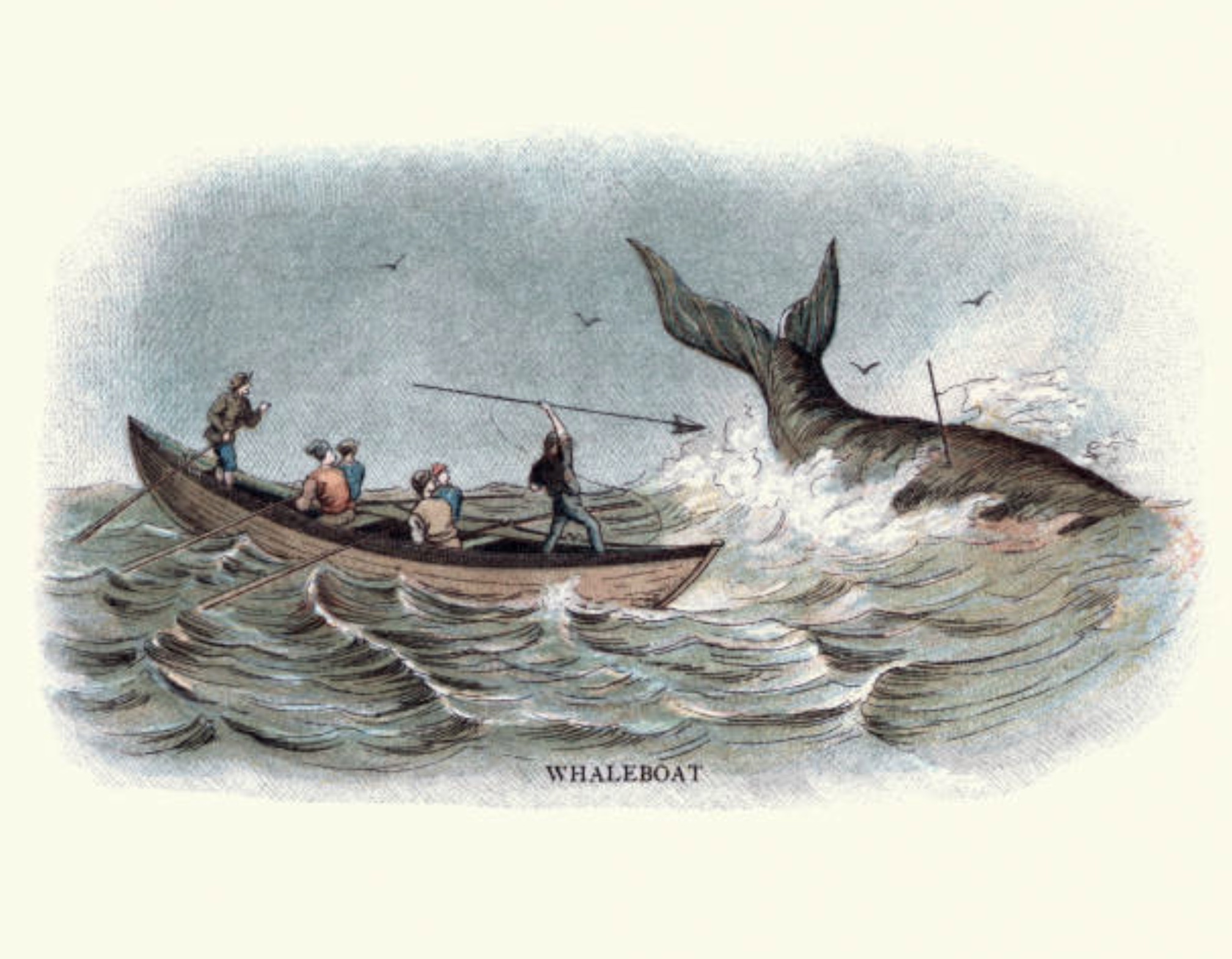 whaling drawing - Whaleboat